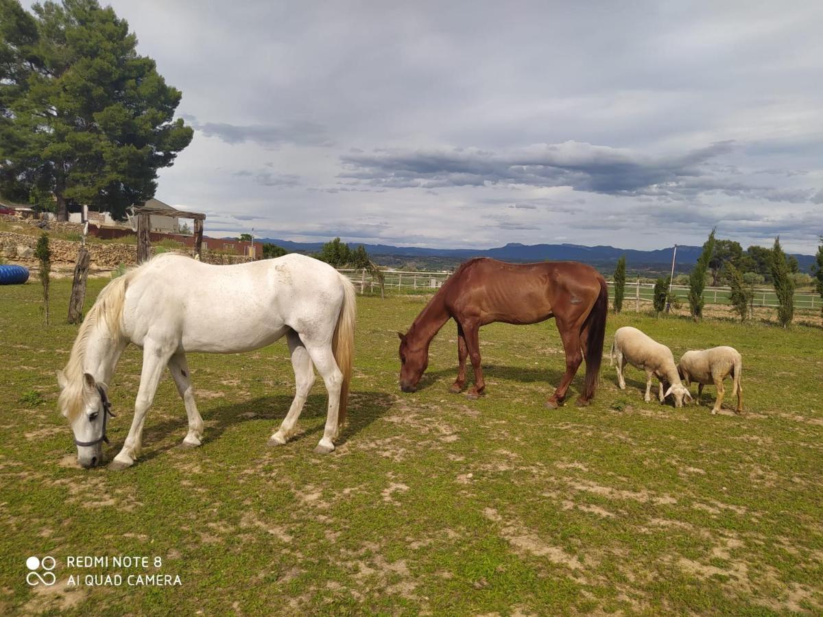 Apartamento Casa Con Vistas, Piscina Y Animales De Granja, La Caseta